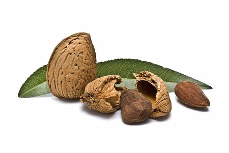Almonds isolated on white background.の写真素材
