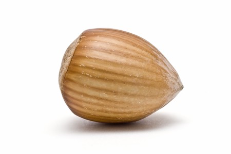 Hazelnut isolated on a white background.の写真素材