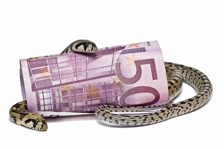 Two snakes looking after a big bank note.
