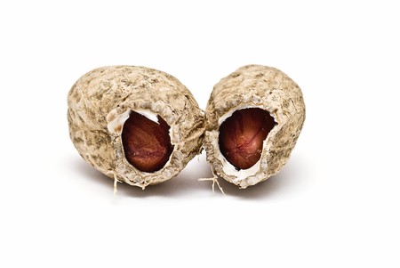 Peanuts isolated on a white background.の写真素材