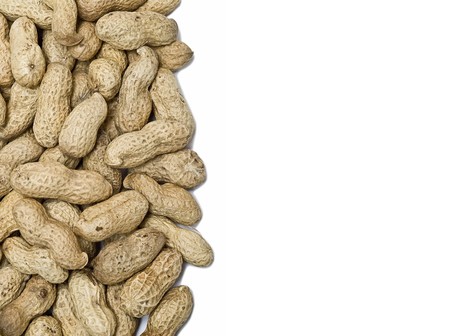 Peanuts isolated on a white background.の写真素材