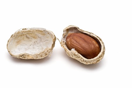 Peanuts isolated on a white background.