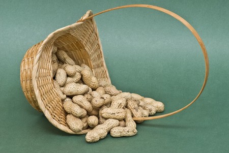 A basket with peanuts on a green background.の写真素材