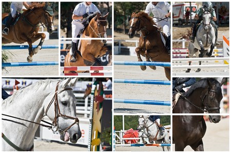 Equestrian jump.の写真素材