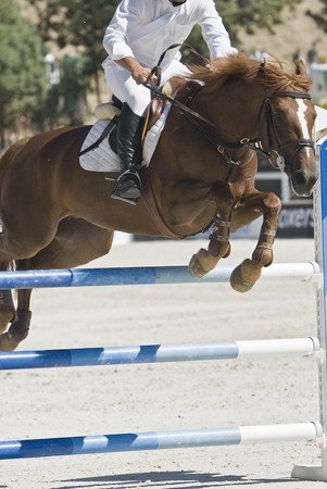 Ecuestrian jump.の写真素材