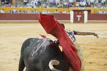 Typical Spanish bullfight in a traditional bullringのeditorial素材