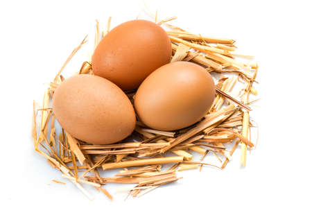 Fresh eggs on some straw isolated over a white backgroundの写真素材