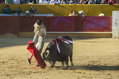 AVILA, SPAIN - JUNE 15: Alejandro Talavante fights in the bullfight of Avila, a city near to Madrid in the middle of Spain in June 15, 2014.のeditorial素材