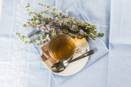 Mentha pulegium infusion and items to prepare itの写真素材