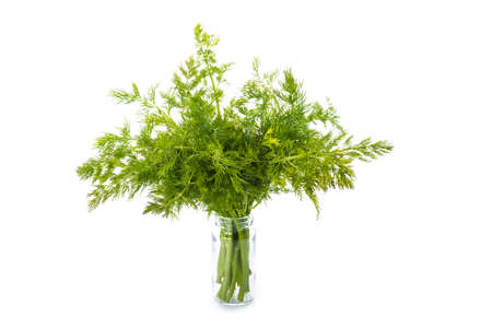 Bunch of fresh dill isolated on a white backgroundの写真素材
