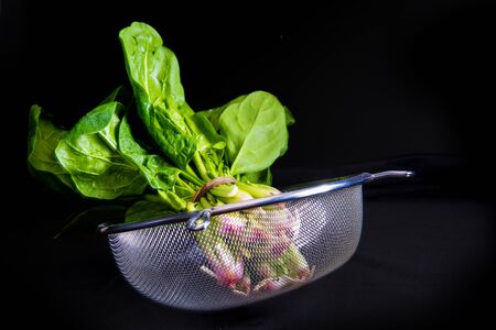 A bunch of fresh spinach on a black backgroundの写真素材