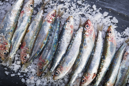 Fresh sardines or pilchards on a coarse salt layer over a slate backgroundの写真素材