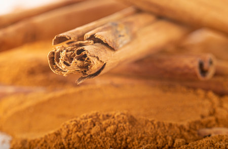 cinnamon sticks and ground powder with a copy spaceの写真素材