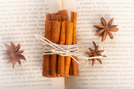 Cinnamon stick bundle and star anise on an old book