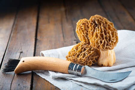 Morchella or morel edible mushrooms on the kitchen table