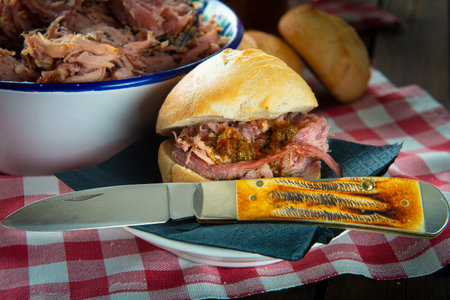 Pulled pork with vinegar barbecue sauce american style