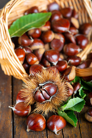 Chestnut with leaves on a wooden backgroundの写真素材