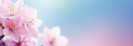 Beautiful celebration spring flowers on pastel background. Concept Birthday, Mothers Day, Womens Day, March 8. Spring easter flower background. Spring, easter greeting card design layout. Copy spaceの素材