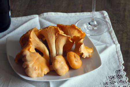 Still life about fresh chanterelles (Mushrooms).の写真素材