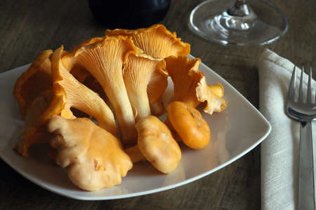 Still life about fresh chanterelles (Mushrooms).の写真素材