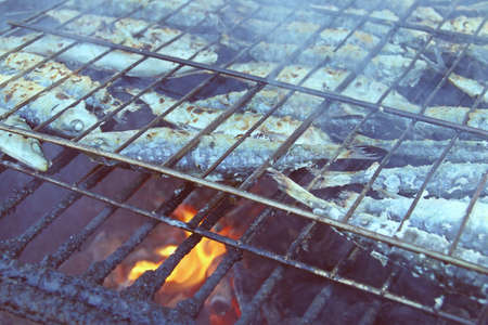 Grilled fresh sardines, roasted with charcoal. Barbecue with delicious sardines (Sardina pilchardus) roasted outdoors in Sanlucar de Guadiana, Andalusia, Spain.の写真素材