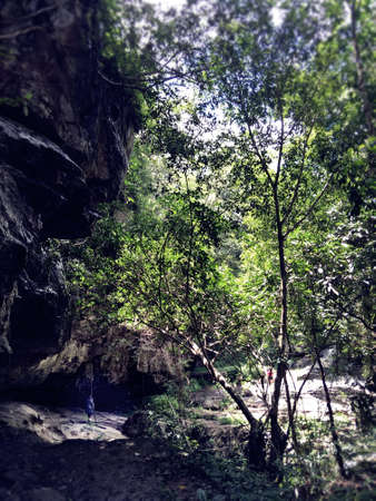 Tourist hiking through the deciduous forest of Chiang Mai, Doi Suthep National Park, in Thailand.