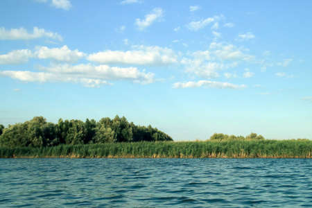 Reed beds in a lagoon in the Danube delta. Landscape of freshwater wetlands at the mouth of the Danube river in Romania.の写真素材