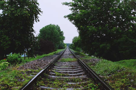 Close-up of a train track on a rainy day. An old train track that runs through vegetation and heads...