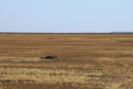 Stubble fields near Plevna in Romania. Rural landscape after mowing on a sunny summer day.