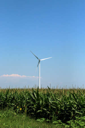 Electric wind turbine between farm fields in Romania. Wind turbine with a blue sky in the...