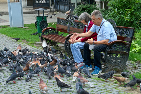 Bucharest, Romania; 07 08 2018. A retired couple feeding pigeons on a bench. Garden of the Romanian Athenaeum in the center of Bucharest.のeditorial素材