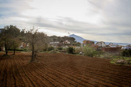 View of the sunset from a small orchard in La Matanza, city on the island of Tenerife, Spain. Teide volcano on the horizon with a beautiful sky at sunset.の写真素材