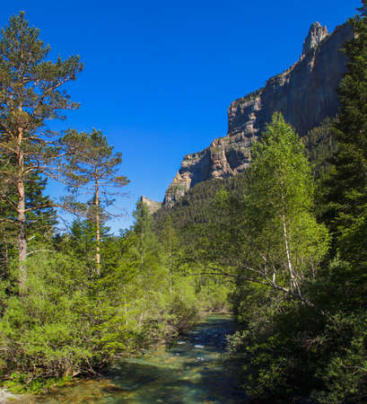 The Arazas river runs through the forest in the beautiful Ordesa Valley, Huesca, Spain. Natural landscape with a lush green forest in early summer.の写真素材