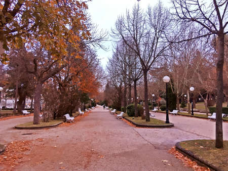 Cervantes Park in the city of Soria in Spain. Trees with no or almost no leaves on a cold autumn...