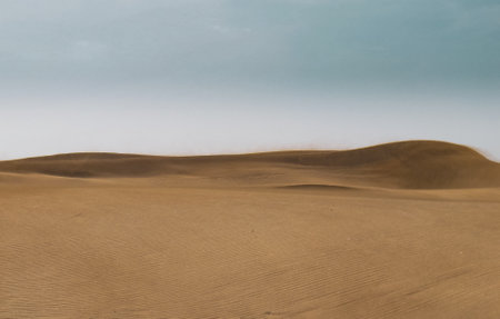 The extensive coastal sands (like deserts), dunes of Maspalomas beach on the island of Las Palmas de...