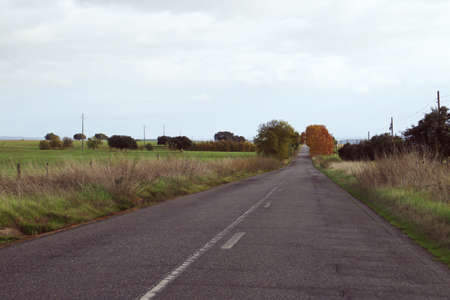 A long straight on the N-385 rural road in the Alentejo region of southern Portugal. Small road...