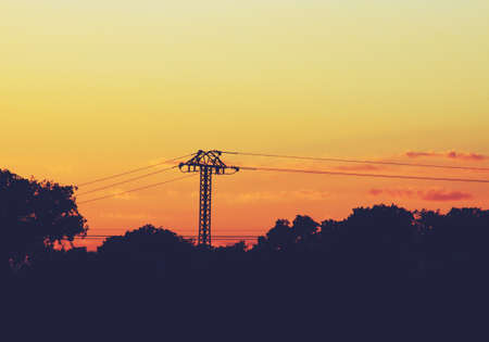 Silhouette of electric post between the tops of oaks. Image taken at sunset with the last rays of...