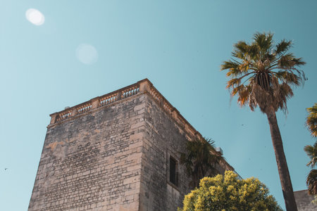 Wall and architecture of an old house in Alberobello, Italy. Photograph taken from below, observing the roof railing and the palm trees in the nearby garden.の写真素材