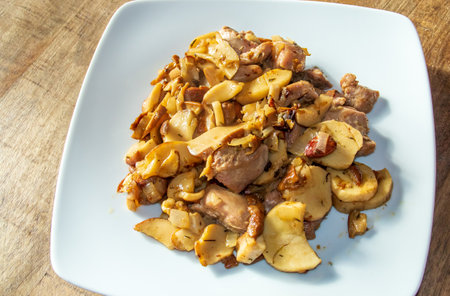 Homemade turkey and porcini sautÃ©. SautÃ©ed turkey meat, boletus, onion and almonds cooked in olive oil.の写真素材