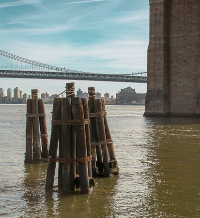 Wooden pylons in the water on the bank of the East River in New York, USA. In the background the Manhattan Bridge and the buildings of the Brooklyn riverside. NYC, 2019.の写真素材