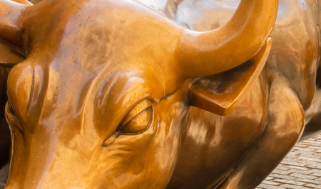 Statue of the Charging Bull, the Wall Street Bull or the Bowling Green Bull. It is a bronze sculpture that stands on Broadway in the Financial District of Manhattan, NYC. USA.の写真素材