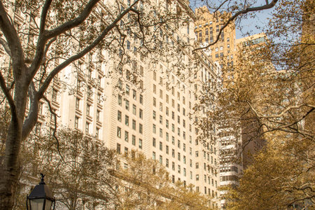 Cityscape with facades of old skyscrapers among branches of trees with autumn leaves. Facades of...