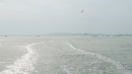 View from the ferry on the sea and seagulls flying. In the background, Staten Island, seen from the ferry from the island to New York.の写真素材