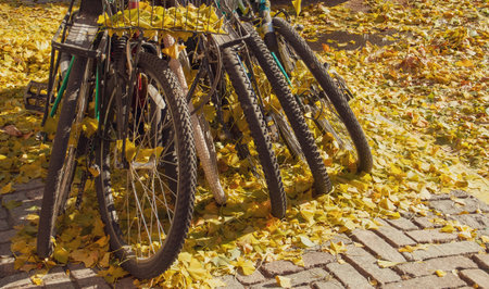 Bicycles parked in piles and surrounded by fallen leaves. Bicycles in Central Park North on a sunny autumn day in 2019.の写真素材