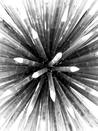 Explosion de pieuxの写真素材