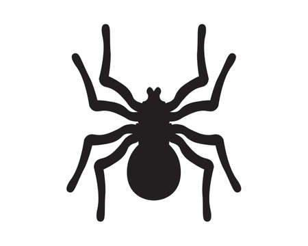 Spider vector and insect animalのイラスト素材