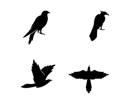 Falcon Eagle Bird  Template vector iconのイラスト素材