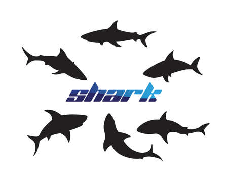 Shark Template and design vector fish wild sea animalのイラスト素材