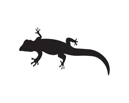 Lizard vector, design, animal, and reptile, geckoのイラスト素材