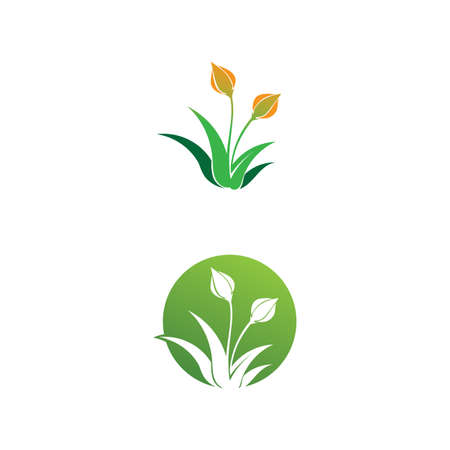 Vector Lotus Flower Sign for Wellness, Spa and Yoga. Vector Illustrationのイラスト素材